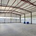 Pantelimon hala noua 500 mp